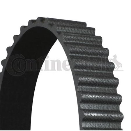 CT898 Timing Belt CONTINENTAL CTAM