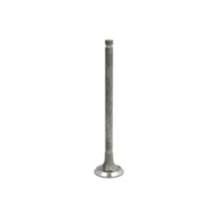 R7053/RARNT Exhaust Valve FRECCIA