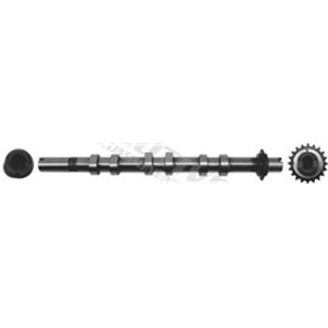 T6554 Camshaft MOTIVE - Top1autovaruosad