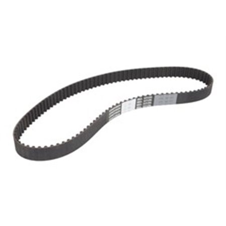 CT1070 Timing Belt CONTINENTAL CTAM