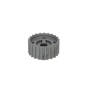 100 295 Sprocket, crankshaft TOPRAN - Top1autovaruosad