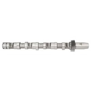 NW5004 Camshaft  for cylinder 4 5 6   int - Top1autovaruosad