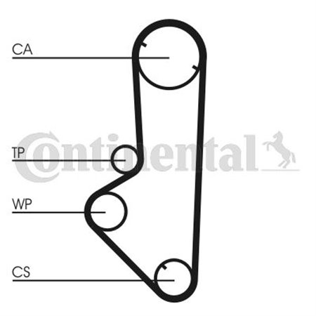 CT707 Timing Belt CONTINENTAL CTAM