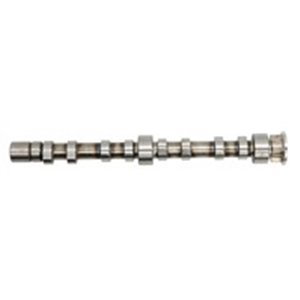 T2628 Camshaft MOTIVE - Top1autovaruosad