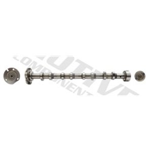 MOTT1943 Camshaft (intake side) (intake valves) fits: CITROEN JUMPER; FIAT