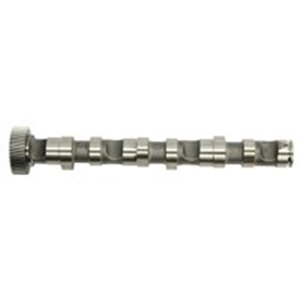 NW5005 Camshaft, for cylinder 4; 5; 6, (exhaust side), L (exhaust valves