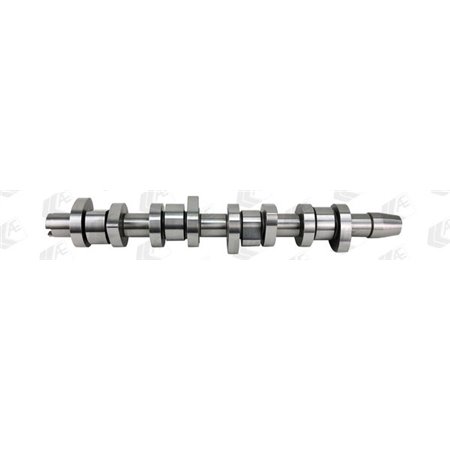 CAM968 Camshaft AE