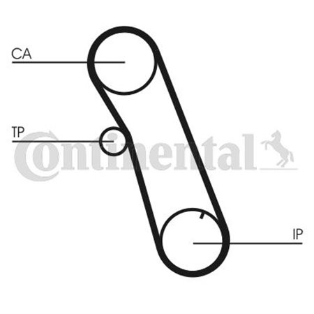 CT616 Timing Belt CONTINENTAL CTAM