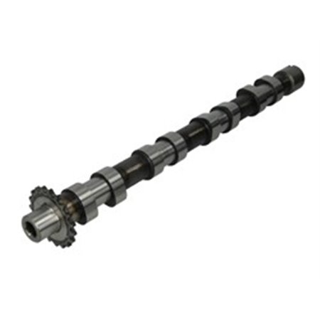 CAM748 Camshaft AE