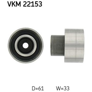 VKM 22153...