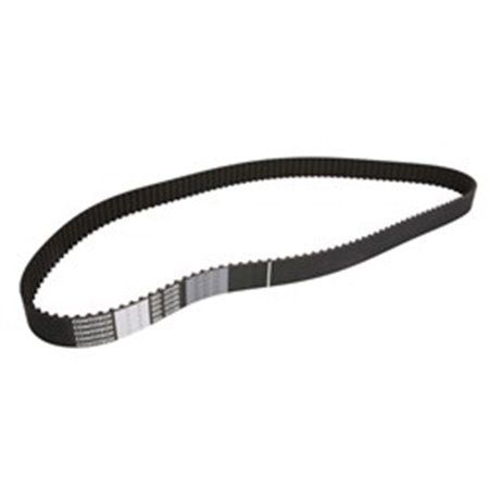 CT917 Timing Belt CONTINENTAL CTAM