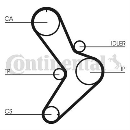 CT731 Timing Belt CONTINENTAL CTAM