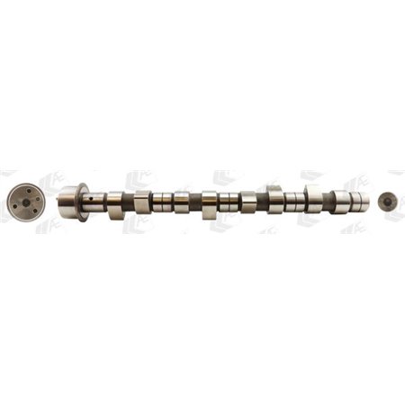 CAM681 Camshaft fits: IVECO DAILY II, DAILY III, POWER DAILY CITROEN JU
