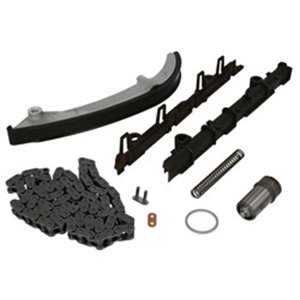 99 13 0307 Timing Chain Kit...