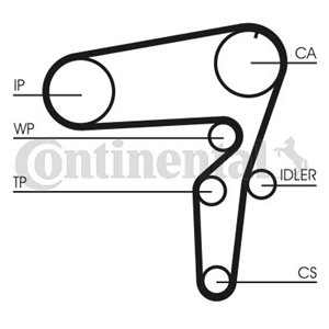 CT 1076 WP1 Hammasrihma kpl. (rihm + rull + veepump) sobib: ALFA ROMEO 147, 1