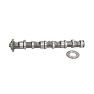 NW5023 Camshaft (exhaust side) (intake valves) fits: AUDI A4 B6, A4 B7, 