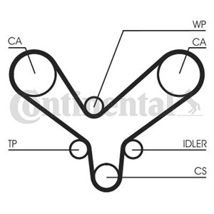 CT1175 Timing Belt CONTINENTAL CTAM - Top1autovaruosad