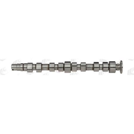 CAM925 Camshaft (exhaust side) (exhaust valves) fits: AUDI A2 SEAT ALTE