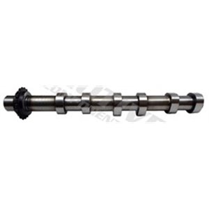 T6551 Camshaft MOTIVE - Top1autovaruosad