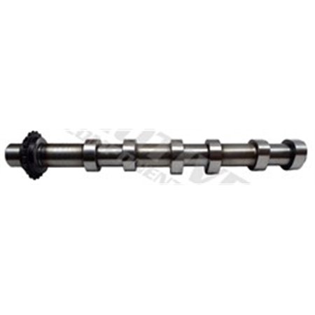 T6551 Camshaft MOTIVE