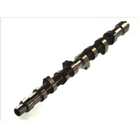 CAM373 Camshaft AE