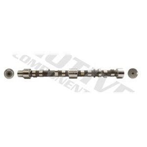 T2011 Camshaft MOTIVE - Top1autovaruosad