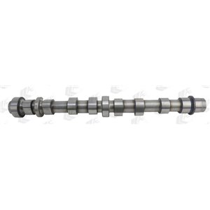 CAM944 Camshaft (intake side) (intake valves) fits: CADILLAC BLS; OPEL A