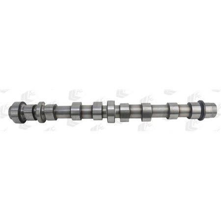 CAM944 Camshaft (intake side) (intake valves) fits: CADILLAC BLS OPEL A
