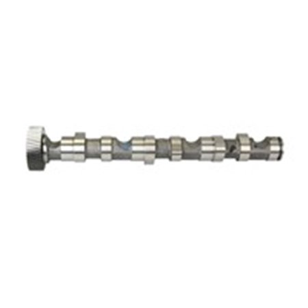 NW5006 Camshaft, for cylinder 1 2 3, (exhaust side), R (exhaust valves