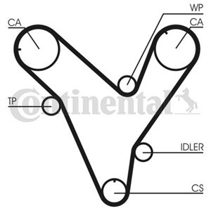 CT829 Timing Belt CONTINENTAL CTAM - Top1autovaruosad