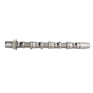 NW5024 Camshaft (intake side) (exhaust valves) fits: AUDI A4 B6, A4 B7, 