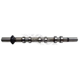 T6553 Camshaft MOTIVE - Top1autovaruosad