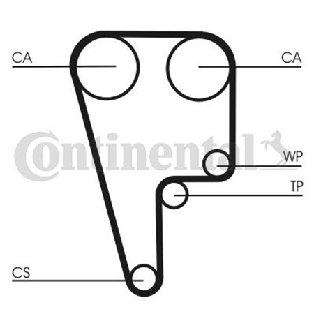 CT1102 Timing Belt CONTINENTAL CTAM