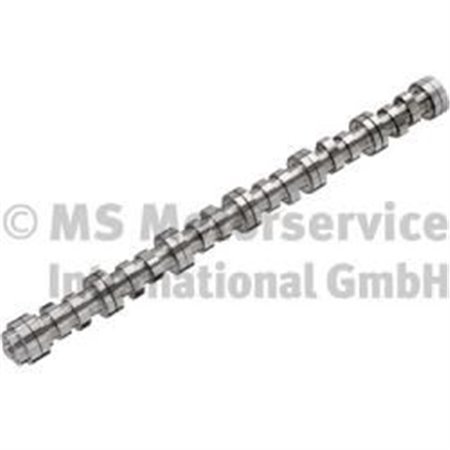 20100712008 Camshaft BF