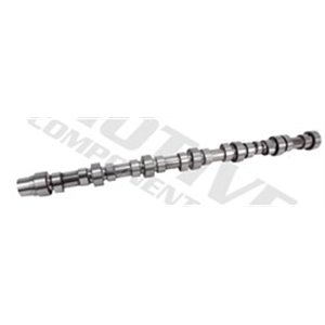 T4264 Camshaft MOTIVE - Top1autovaruosad