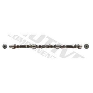 T2013 Camshaft MOTIVE - Top1autovaruosad