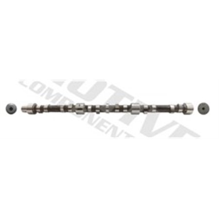 T2013 Camshaft MOTIVE