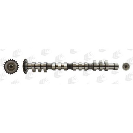 CAM743 Camshaft AE