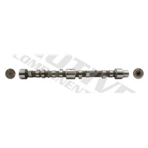 T2018 Camshaft MOTIVE - Top1autovaruosad