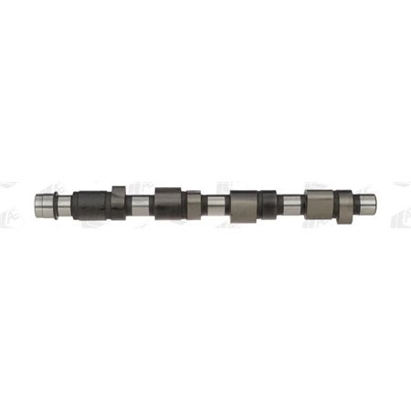 CAM648 Camshaft AE