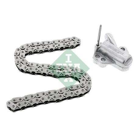 559 1007 10 Mootori keti komplekt Schaeffler INA