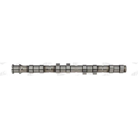 CAM951 Camshaft (intake side) (exhaust intake) fits: OPEL ASTRA G, SIGN
