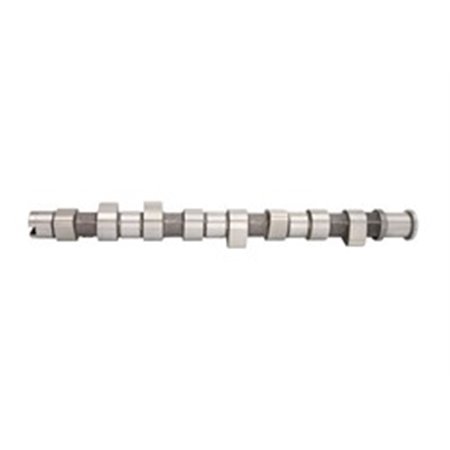 CAM650 Camshaft AE