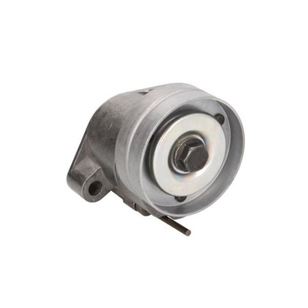 E3X0006BTA Tensioner Pulley, V-ribbed belt BTA