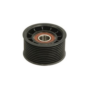 APV2811 Deflection,Guide Pulley, V-ribbed belt DAYCO - Top1autovaruosad