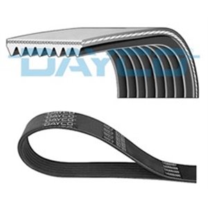DAY8PK1160HD Multi V belt (8PK1160) fits: MAN LION´S CITY, LION´S COACH, LION´