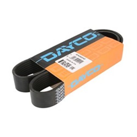 8PK952HD V-Ribbed Belt DAYCO