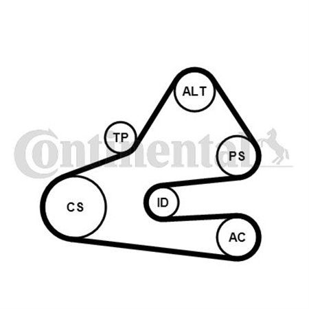 6PK1613K1 Поликлиновой ременный комплект CONTINENTAL CTAM