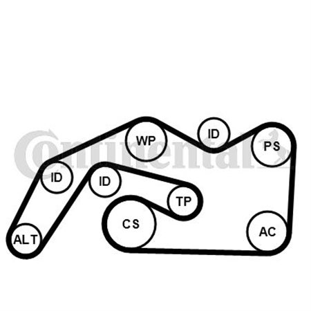 6PK2490K1 Поликлиновой ременный комплект CONTINENTAL CTAM