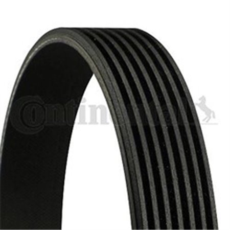 7PK1338 V-Ribbed Belt CONTINENTAL CTAM